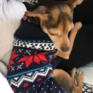 Meet your Posher, Roxana